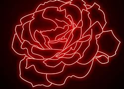 Image result for Wallpaper Rosa Neon