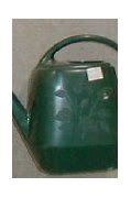Image result for Garden Scene Watering Can