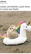 Image result for More You Know Unicorn Meme