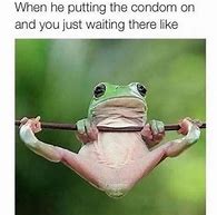 Image result for Dumpy Frog Meme