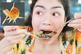 Image result for Eating a Goldfish