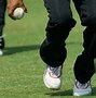 Image result for Cricket Fielding Drills