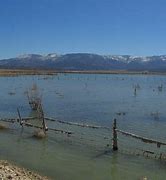 Image result for Quichapa Lake Utah