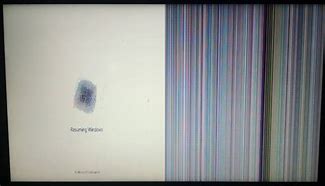 Image result for How to Fix Laptop Display