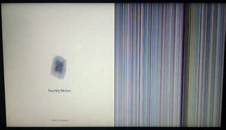Image result for Screen Problem Lines