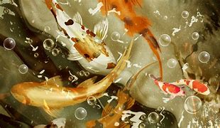 Image result for Koi Fish iPhone Wallpaper