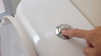 Image result for Dual Flush Toilet Button