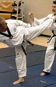 Image result for Thomas Dineen Ju Jitsu