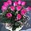 Image result for Pink Roses Delivered