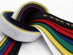Image result for All Karate Belts