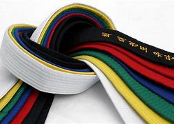 Image result for Martial Arts Belts