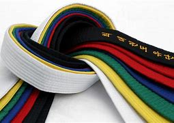 Image result for Martial Arts Belt Colors