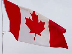 Image result for Canadian Flag Dimensions