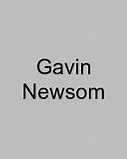 Image result for Gavin Newsom not running
