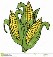 Image result for Corn Crop Cartoon
