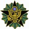 Image result for Army Staff Identification Badge