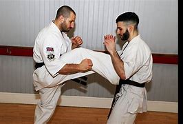 Image result for kyokushin karate