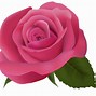 Image result for Pink P PNG