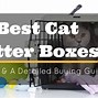 Image result for Best Cat Litter Box