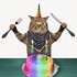 Image result for Happy Birthday Cat Jpg