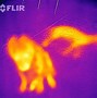Image result for Infrared Camera for iPhone