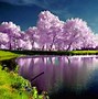 Image result for iPhone 6 Nature Wallpaper