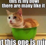 Image result for Bowl Food Meme