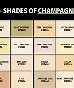 Image result for Shades of Champaign