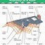 Image result for Roof Construction Framing Diagram