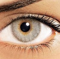 Image result for Hand Painted Contact Lenses Natural