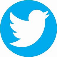 Image result for Twitter Logo PDF