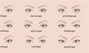 Image result for Sharp Eyes Meaning