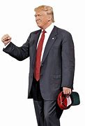 Image result for donald trumps