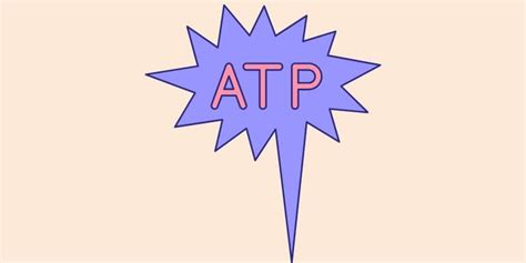 Image result for ATP Explained