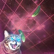 Image result for Cat Shooting Lasers Out of Eyes