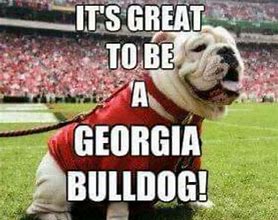 Image result for Georgia Bulldogs Football Memes