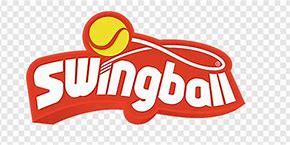 Image result for Swingball Logo