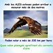 Image result for alacge