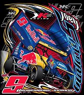 Image result for Sprint Car Vinyl Graphics