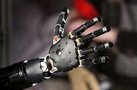 Image result for Biomimetic Robots