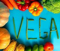 Image result for Vegan Meaning