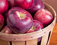 Image result for Different Views of a Apple