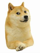 Image result for Sitting Doge Meme