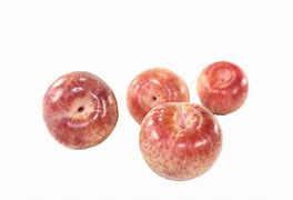 Image result for Pluot
