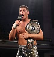 Image result for Cody Rhodes Champion