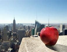 Image result for What Is Big Apple in New York