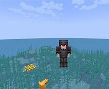 Image result for Invisible Person in Netherite