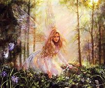 Image result for What Do Fairies Look Like