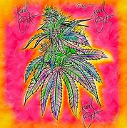 Image result for OG Kush Clip Art