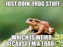 Image result for Toad Meme